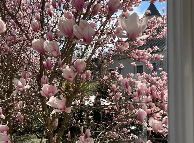 Ferienhaus Boutique Guestel Krems an der Donau